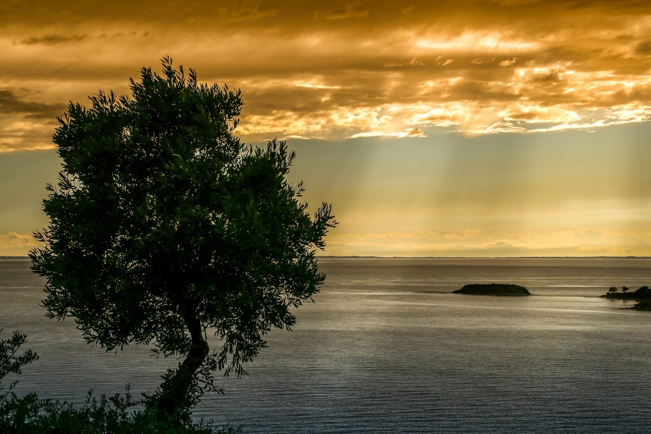 20190318-the-light-of-Greece